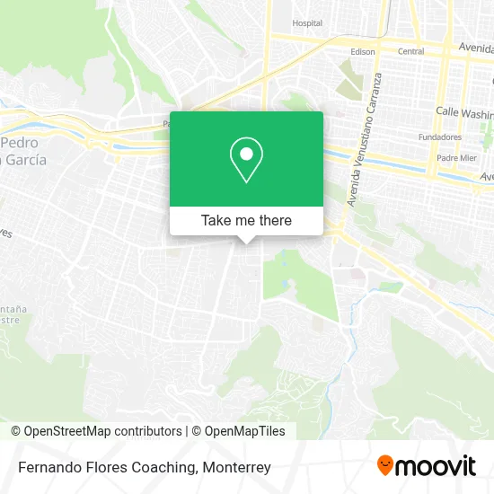 Fernando Flores Coaching map