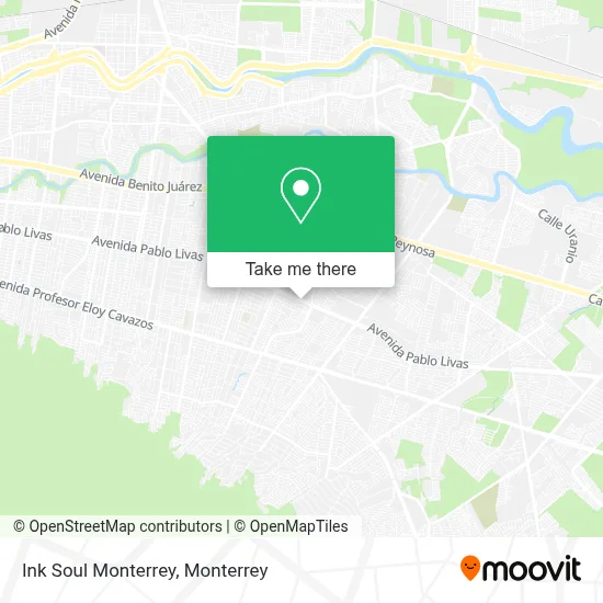 Ink Soul Monterrey map
