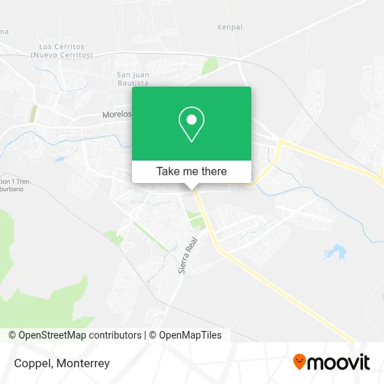 Coppel map
