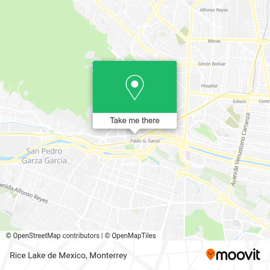 Rice Lake de Mexico map