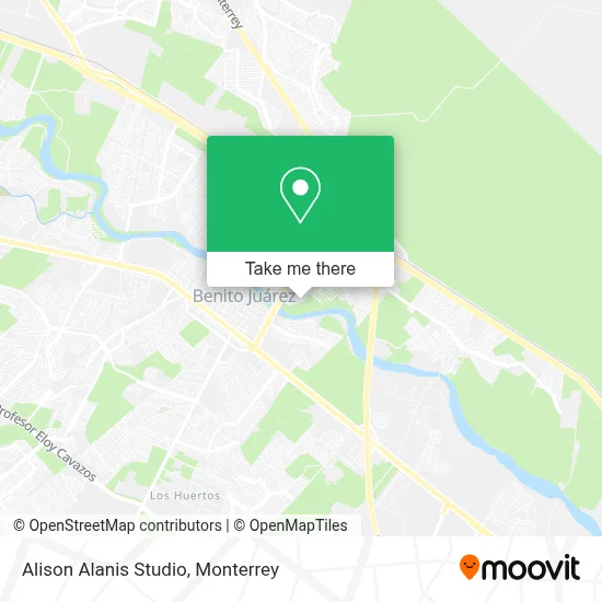 Alison Alanis Studio map