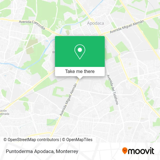 Puntoderma Apodaca map