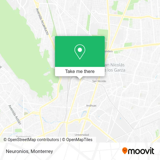 Neuronios map