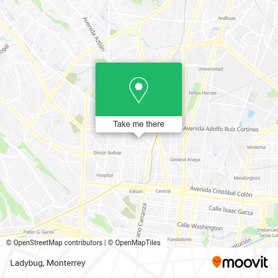 Ladybug map