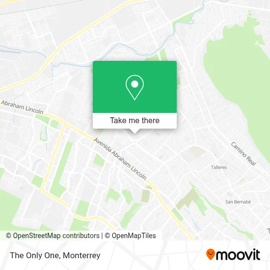 The Only One map