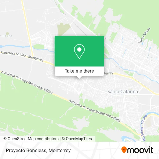 Proyecto Boneless map
