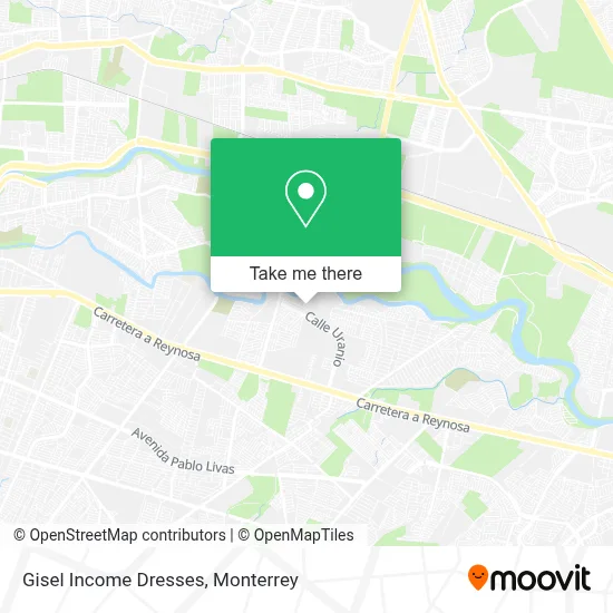 Gisel Income Dresses map