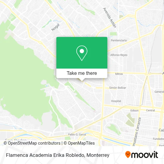 Flamenca Academia Erika Robledo map