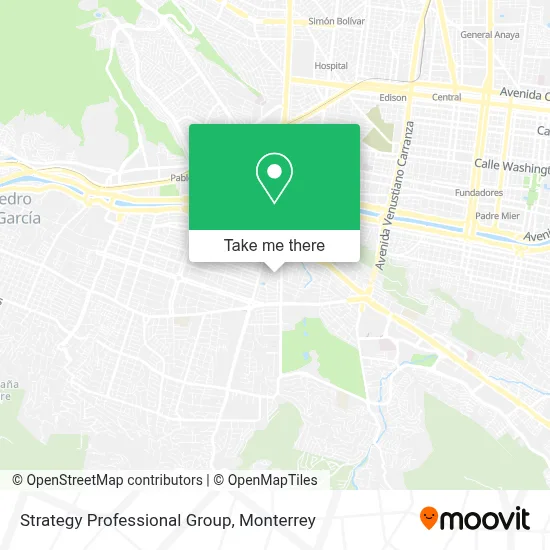 Strategy Professional Group map