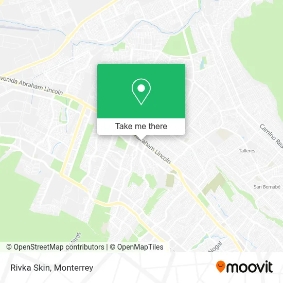 Rivka Skin map