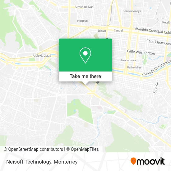 Neisoft Technology map