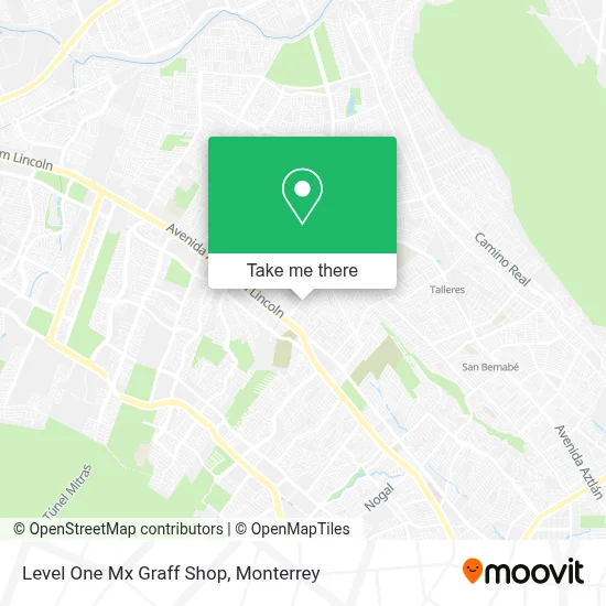 Level One Mx Graff Shop map