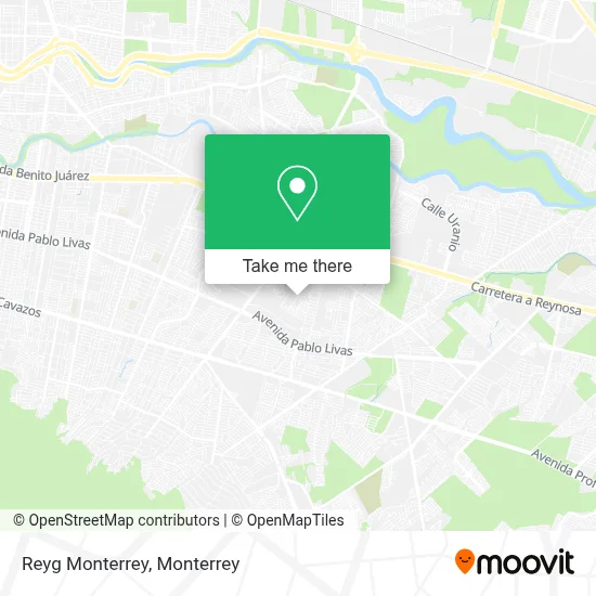 Reyg Monterrey map