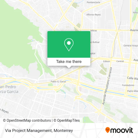 Via Project Management map