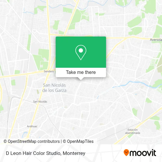 D Leon Hair Color Studio map