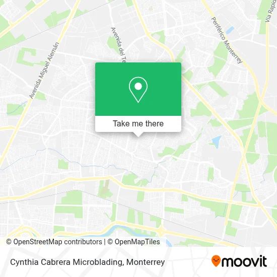 Cynthia Cabrera Microblading map