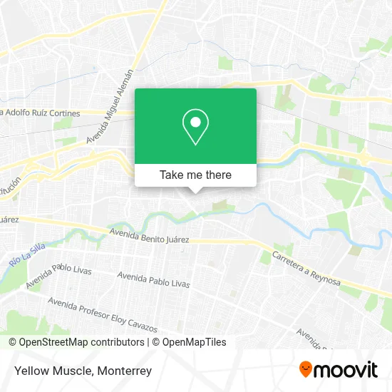 Yellow Muscle map
