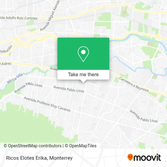 Ricos Elotes Erika map