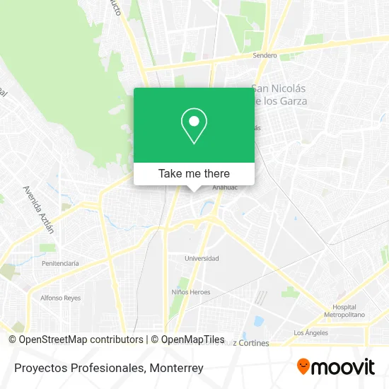 Proyectos Profesionales map