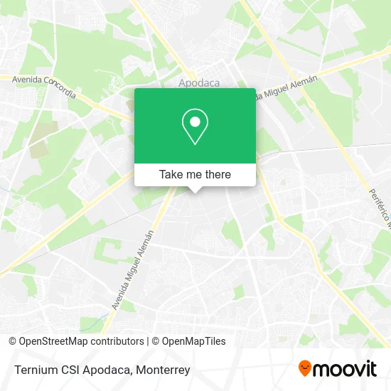 Ternium CSI Apodaca map