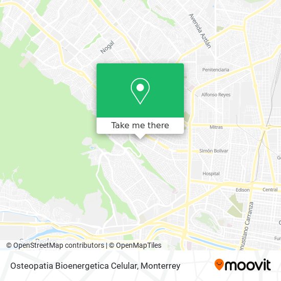 Mapa de Osteopatia Bioenergetica Celular