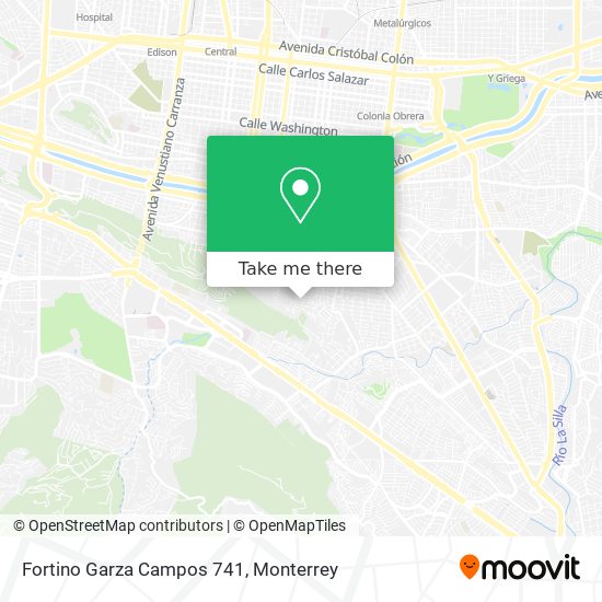 Fortino Garza Campos 741 map