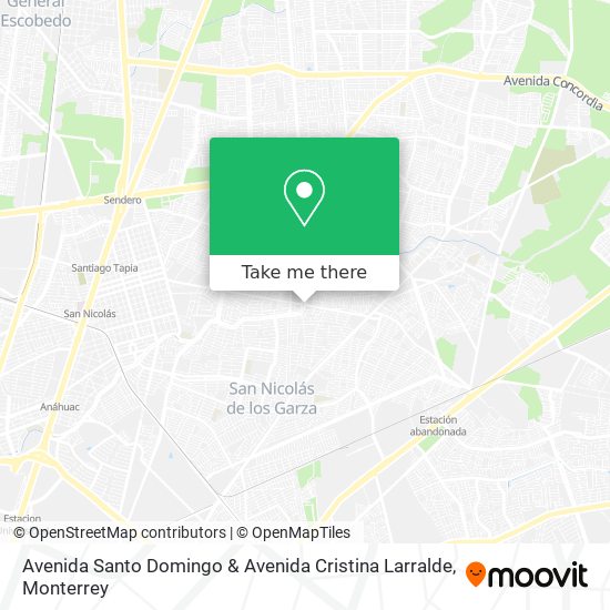 Avenida Santo Domingo & Avenida Cristina Larralde map