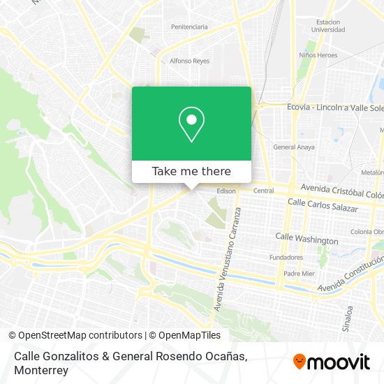 Calle Gonzalitos & General Rosendo Ocañas map