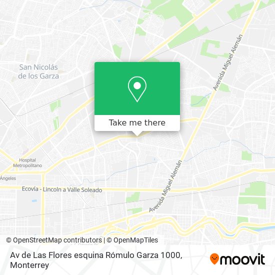 Mapa de Av de Las Flores esquina Rómulo Garza 1000