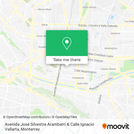 Avenida José Silvestre Aramberri & Calle Ignacio Vallarta map