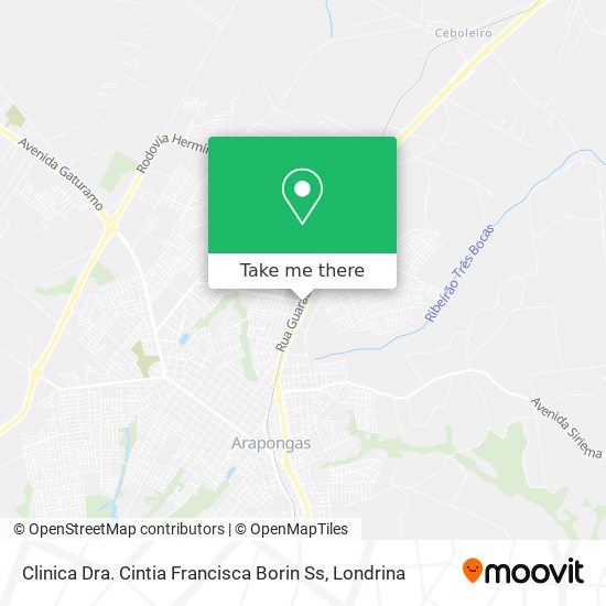 Clinica Dra. Cintia Francisca Borin Ss map