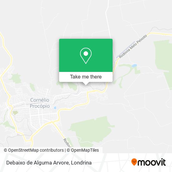 Debaixo de Alguma Arvore map