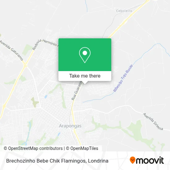 Brechozinho Bebe Chik Flamingos map