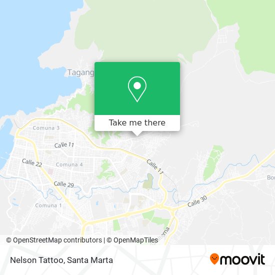 Mapa de Nelson Tattoo