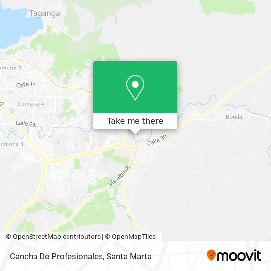 Cancha De Profesionales map