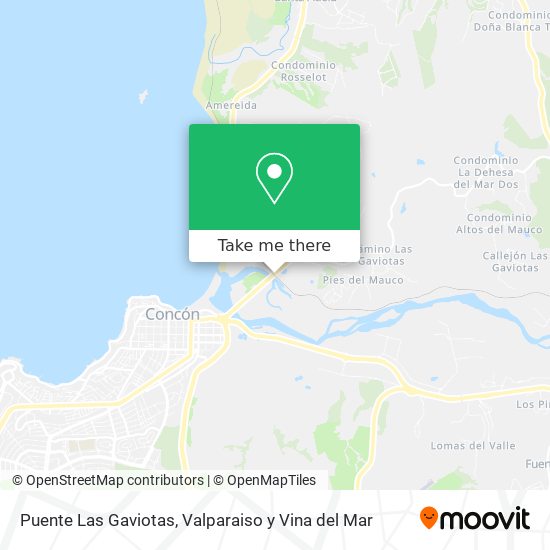 Mapa de Puente Las Gaviotas