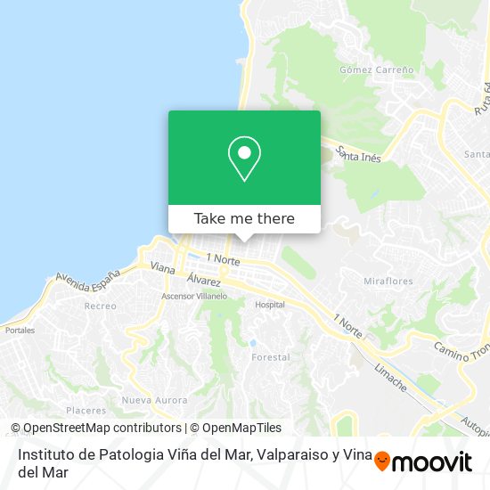 Mapa de Instituto de Patologia Viña del Mar