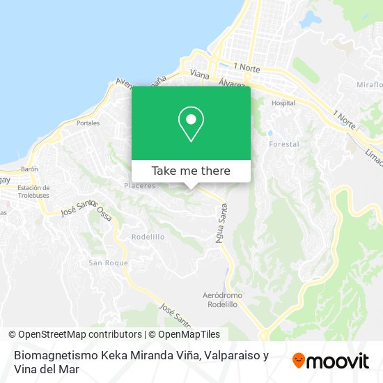 Biomagnetismo Keka Miranda Viña map