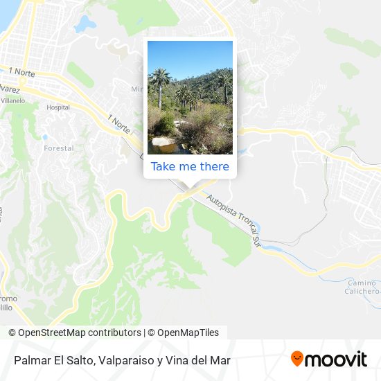 Palmar El Salto map