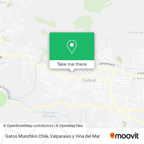 Mapa de Gatos Munchkin Chile