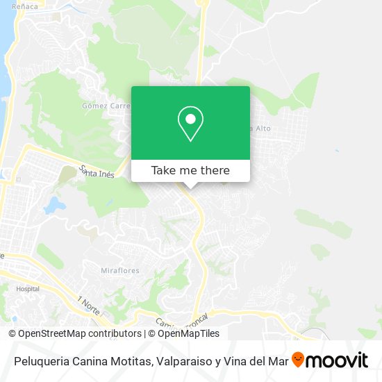 Peluqueria Canina Motitas map