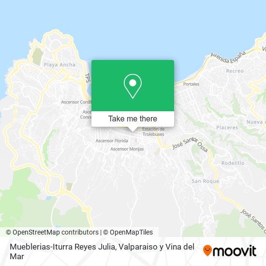 Mueblerias-Iturra Reyes Julia map