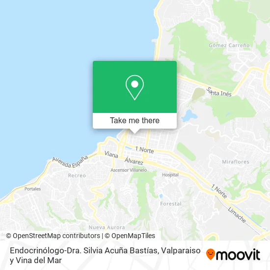 Endocrinólogo-Dra. Silvia Acuña Bastías map