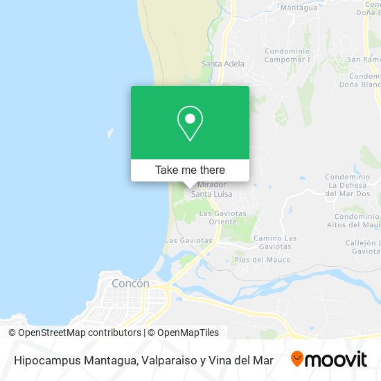 Mapa de Hipocampus Mantagua