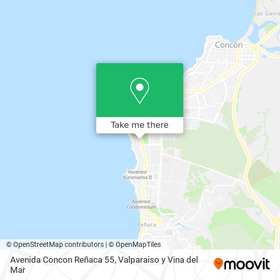 Avenida Concon Reñaca 55 map