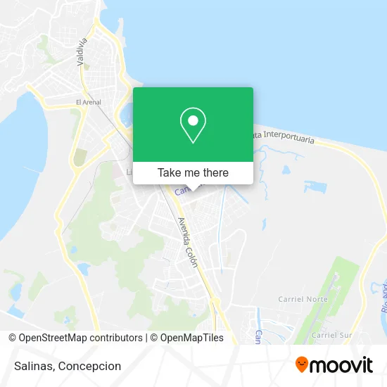 Mapa de Salinas