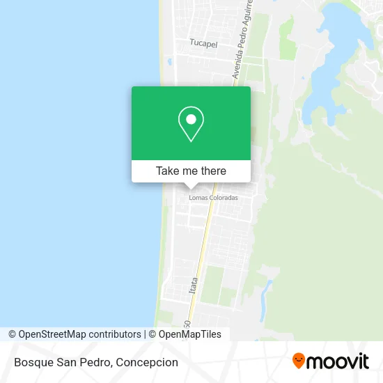 Mapa de Bosque San Pedro