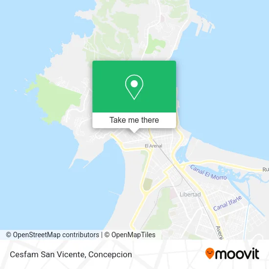 Cesfam San Vicente map
