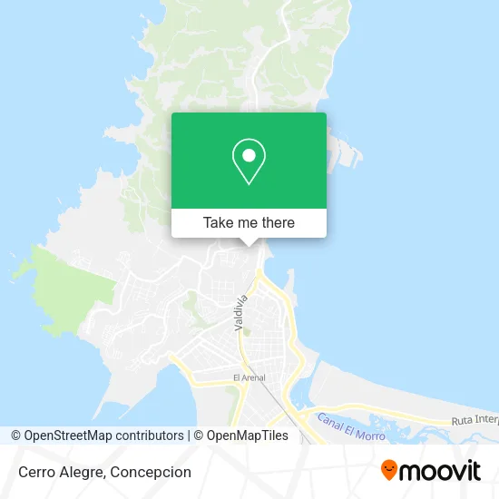 Cerro Alegre map