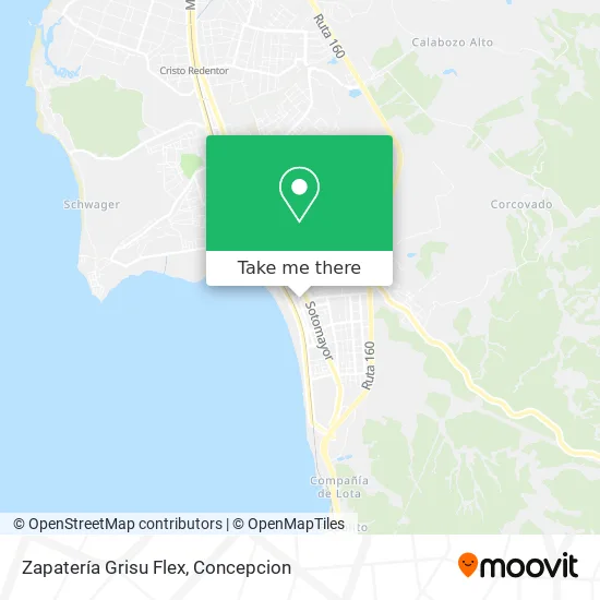 Zapatería Grisu Flex map